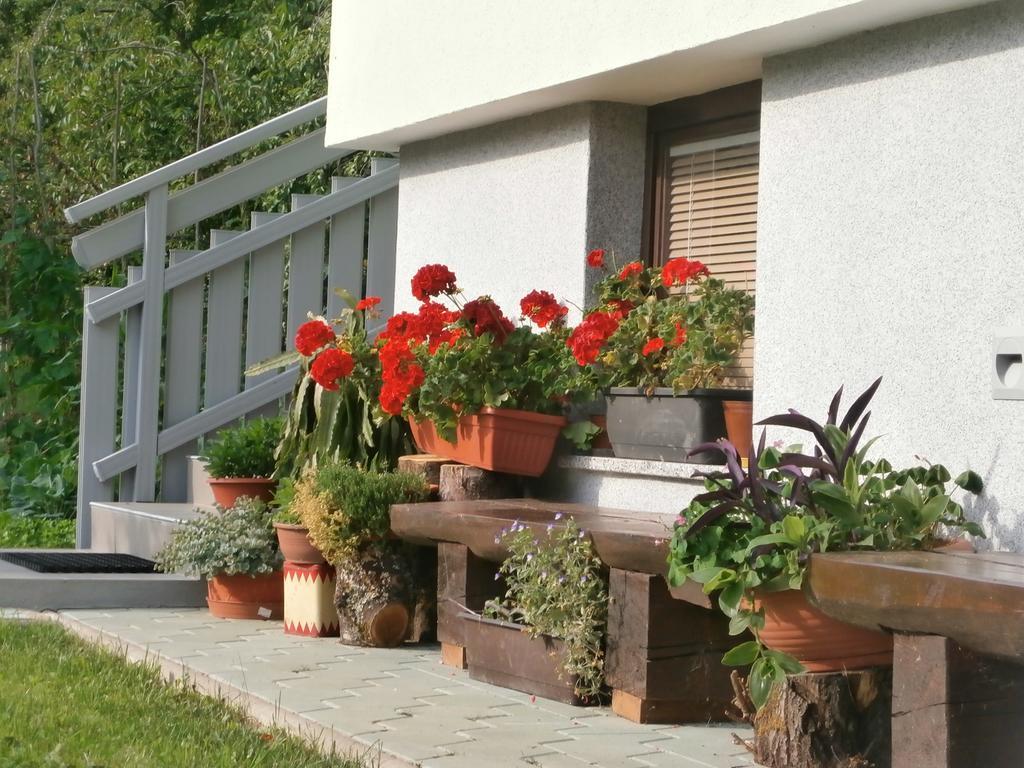 Apartment Zvan Bohinj Room photo